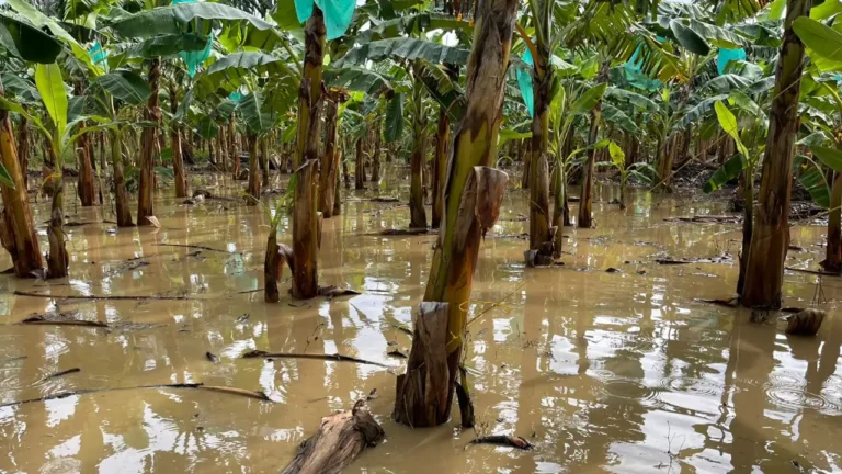 Emergencia en Urabá por inundaciones en seis municipios