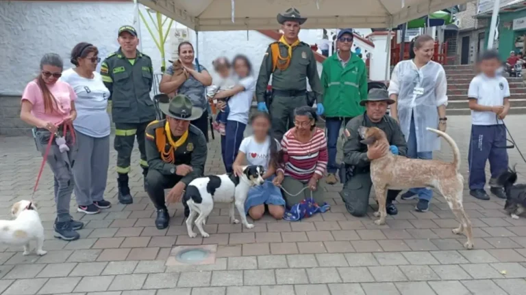 Animalitos afectados por la avalancha en Montebello, Antioquia, reciben cuidados amorosos por parte de la Policía