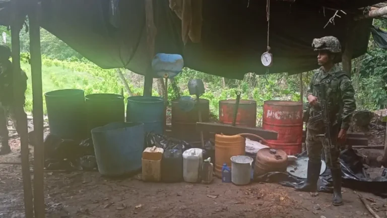 Ejército Nacional destruye laboratorios y semilleros de coca en el Bajo Cauca antioqueño