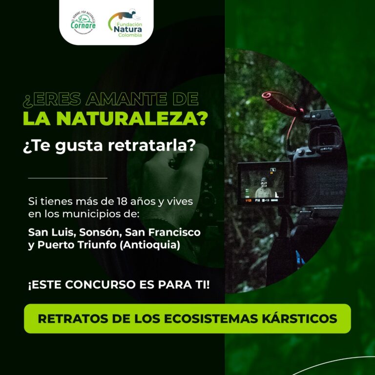 Se abrió la convocatoria al concurso de fotografía de naturaleza: Retratos de los ecosistemas kársticos