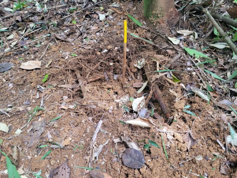 «Salvando vidas» Batallón de Ingenieros No7 destruyó 4 minas antipersonales en Granada y San Carlos, Antioquia