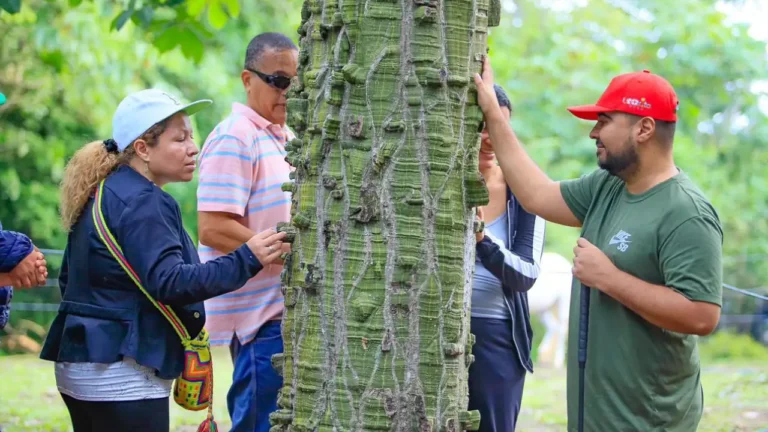 ‘Ruta de Sensibilidad Sonora de Aves’: una estrategia de turismo en Antioquia para personas con discapacidad visual