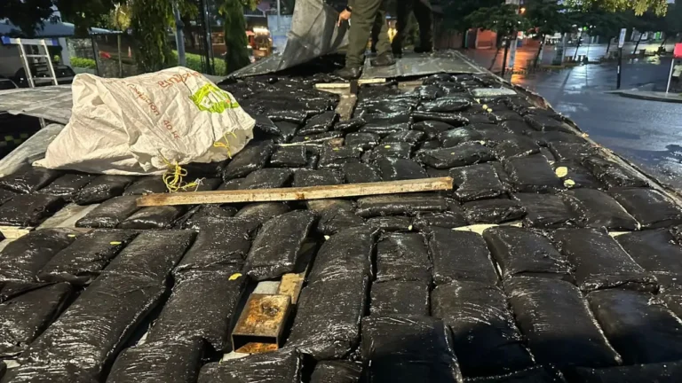 Policía descubre 200 Kilos de marihuana encaletados en un camión que se movilizaba en La Pintada