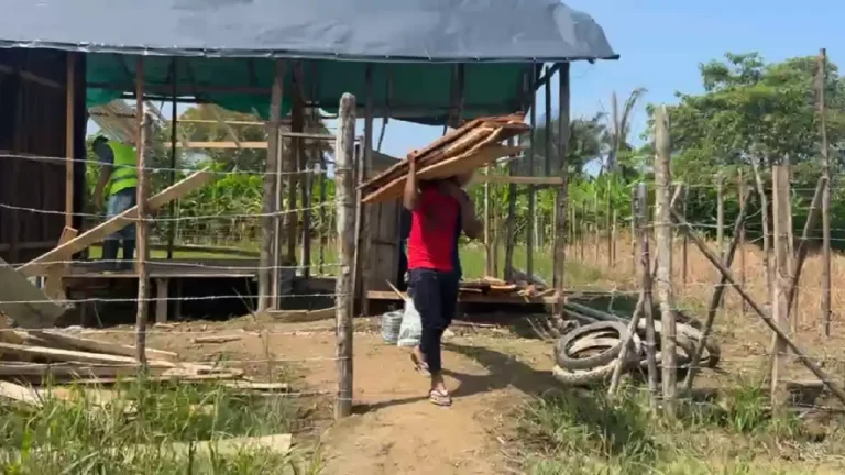 Cerca de 115 familias de Nechí que estaban invadiendo 5 predios privados desalojan los terrenos con normalidad