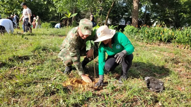 En el Bajo Cauca Antioqueño y el departamento de Córdoba el Ejército ha sembrado más de 100 mil árboles