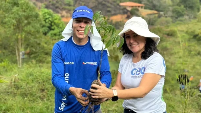 En Rionegro respirarán aire puro con la siembra de 1.500 árboles que beneficia a 4 veredas del municipio